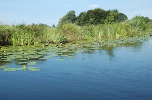 Waterkant Friesland