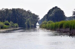 Zeilvakantie in de Weerribben